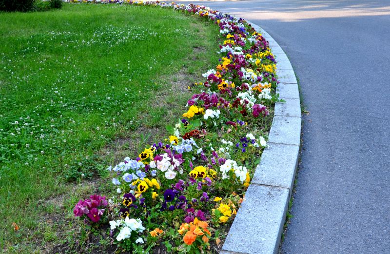 Concrete Edging Close-up