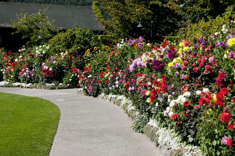 Summer Concrete Border